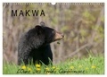 Philippe Henry - CALVENDO Animaux  : MAKWA L'Ours Des Forêts Québécoises (Calendrier mural 2024 DIN A3 vertical), CALVENDO calendrier mensuel - L'ours noir au fil des quatre saisons.