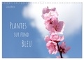 Gisela Kruse - CALVENDO Nature  : Plantes sur fond bleu (Calendrier mural 2024 DIN A3 vertical), CALVENDO calendrier mensuel - Des branches fleuries et des feuilles colorées se détachent sur un ciel bleu.