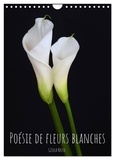 Gisela Kruse - CALVENDO Nature  : Poésie de fleurs blanches (Calendrier mural 2024 DIN A4 horizontal), CALVENDO calendrier mensuel - Beautés florales blanches représentées contre un fond sombre.