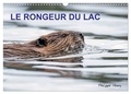 Philippe Henry - CALVENDO Animaux  : LE RONGEUR DU LAC (Calendrier mural 2024 DIN A3 vertical), CALVENDO calendrier mensuel - 13 photos de castors prises au fil des quatre saisons.