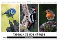 Michel Denis - CALVENDO Nature  : Oiseaux de nos villages en Gâtinais (Calendrier mural 2024 DIN A4 vertical), CALVENDO calendrier mensuel - Photographies d'oiseaux que l'on peut voir en France.