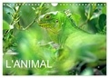 Patrice Thébault - CALVENDO Animaux  : L'ANIMAL (Calendrier mural 2024 DIN A4 vertical), CALVENDO calendrier mensuel - Animaux du monde.