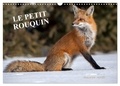 Philippe Henry - CALVENDO Animaux  : LE PETIT ROUQUIN (Calendrier mural 2024 DIN A3 vertical), CALVENDO calendrier mensuel - 13 photos de renards au fil des quatre saisons.
