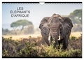 Arnaud Liatard - CALVENDO Nature  : ÉLÉPHANTS D'AFRIQUE (Calendrier mural 2024 DIN A4 vertical), CALVENDO calendrier mensuel - 12 mois avec les éléphants.