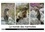 Michel Denis - CALVENDO Nature  : Le monde des marmottes en Haute Maurienne (Calendrier mural 2024 DIN A4 vertical), CALVENDO calendrier mensuel - La vie trépidente de marmottes qui doivent faire le maximum de réserve de graisse en vue de passer une hibernation en toute sécurité..