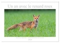 Michael Breuer - CALVENDO Animaux  : Un an avec le renard roux (Calendrier mural 2024 DIN A3 vertical), CALVENDO calendrier mensuel - Animal sauvage beau et intelligent.