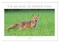 Michael Breuer - CALVENDO Animaux  : Un an avec le renard roux (Calendrier mural 2024 DIN A4 vertical), CALVENDO calendrier mensuel - Animal sauvage beau et intelligent.