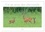 Michael Breuer - CALVENDO Animaux  : Un an avec des chevreuils (Calendrier mural 2024 DIN A3 vertical), CALVENDO calendrier mensuel - Photos impressionnant des chevreuils dans la nature.