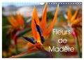 Patrick Casaert - CALVENDO Nature  : Fleurs de Madère (Calendrier mural 2024 DIN A4 vertical), CALVENDO calendrier mensuel - Une sélection de fleurs de Madère.