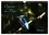 Patrick Casaert - CALVENDO Animaux  : Oiseaux du Pâtis (Calendrier mural 2024 DIN A4 vertical), CALVENDO calendrier mensuel - Oiseaux du parc naturel du Pâtis à Meaux au gré des saisons.