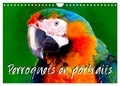 Sudpastel Sudpastel - CALVENDO Animaux  : Perroquets en portraits (Calendrier mural 2024 DIN A4 vertical), CALVENDO calendrier mensuel - Série de 12 créations originales de portraits de perroquets en gros plan..