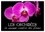 (vronja photon) veronika Verenin - CALVENDO Nature  : Les Orchidées - La musique visuelle des fleurs (Calendrier mural 2024 DIN A3 vertical), CALVENDO calendrier mensuel - Egayez votre quotidien !.