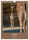 Franckfotography Franckfotography - CALVENDO Animaux  : Zoo animaux sauvages (Calendrier mural 2024 DIN A4 horizontal), CALVENDO calendrier mensuel - Animaux sauvages.