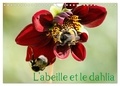 Daniel Illam - CALVENDO Nature  : L'abeille et le dahlia (Calendrier mural 2024 DIN A4 vertical), CALVENDO calendrier mensuel - Le dahlia et l'abeille en parfaite symbiose..