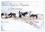 Grégory Pol - CALVENDO Places  : Saint-Pierre et Miquelon à l'état sauvage (Calendrier mural 2024 DIN A3 vertical), CALVENDO calendrier mensuel - Un petit bout de France méconnu.