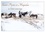 Grégory Pol - CALVENDO Places  : Saint-Pierre et Miquelon à l'état sauvage (Calendrier mural 2024 DIN A4 vertical), CALVENDO calendrier mensuel - Un petit bout de France méconnu.