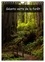 Angelika Metzke - CALVENDO Nature  : Géants verts de la forêt (Calendrier mural 2024 DIN A4 horizontal), CALVENDO calendrier mensuel - Arbres anciens et forêt tropicale de la côte nord-ouest américaine.