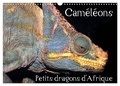 Chris Hellier - CALVENDO Animaux  : Caméléons - Petits dragons d'Afrique. (Calendrier mural 2024 DIN A3 vertical), CALVENDO calendrier mensuel - Douze portraits extraordinaires des plus surprenantes espèces de caméléons..