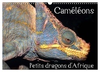 Chris Hellier - CALVENDO Animaux  : Caméléons - Petits dragons d'Afrique. (Calendrier mural 2024 DIN A3 vertical), CALVENDO calendrier mensuel - Douze portraits extraordinaires des plus surprenantes espèces de caméléons..