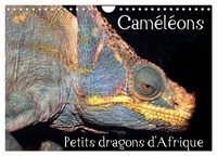 Chris Hellier - CALVENDO Animaux  : Caméléons - Petits dragons d'Afrique. (Calendrier mural 2024 DIN A4 vertical), CALVENDO calendrier mensuel - Douze portraits extraordinaires des plus surprenantes espèces de caméléons..