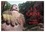 Christophe Vacher - CALVENDO Places  : La Chine, Terre de merveilles (Calendrier mural 2024 DIN A4 vertical), CALVENDO calendrier mensuel - Voyage au coeur de la Chine, de Pékin à Lantau..