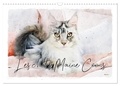 Sudpastel Sudpastel - CALVENDO Animaux  : Les chats Maine Coons (Calendrier mural 2024 DIN A3 vertical), CALVENDO calendrier mensuel - Série de 12 tableaux de chats Maine Coons..