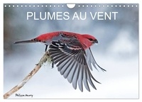 Philippe Henry - CALVENDO Animaux  : PLUMES AU VENT (Calendrier mural 2024 DIN A4 vertical), CALVENDO calendrier mensuel - Des oiseaux en action au fil des quatres saisons..
