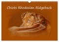 Wyk - www.germanpix.net anke Van - CALVENDO Animaux  : Chiots Rhodesian Ridgeback (Calendrier mural 2024 DIN A3 vertical), CALVENDO calendrier mensuel - Photographies de chiots de Rhodesian Ridgebacks en Afrique du Sud..