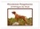 Wyk - www.germanpix.net anke Van - CALVENDO Animaux  : Rhodesian Ridgebacks d'Afrique du Sud (Calendrier mural 2024 DIN A4 vertical), CALVENDO calendrier mensuel - Rhodesian Ridgebacks photographiés par Anke van Wyk dans leur pays d'origine, l'Afrique du Sud..