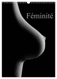 Sven Rausch - CALVENDO Art  : Féminité (Calendrier mural 2024 DIN A3 horizontal), CALVENDO calendrier mensuel - Prises érotiques du corps féminin..