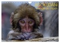Michel Hagège - CALVENDO Animaux  : JIGOKUDANI voyage au Japon (Calendrier mural 2024 DIN A4 vertical), CALVENDO calendrier mensuel - Un voyage à travers de magnifiques portraits de macaques japonais.