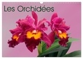 Monarchc Monarchc - CALVENDO Nature  : Les Orchidées (Calendrier mural 2024 DIN A3 vertical), CALVENDO calendrier mensuel - Les orchidées exotiques.