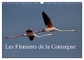 Photo Pirsch - CALVENDO Nature  : Les Flamants de la Camargue (Calendrier mural 2024 DIN A3 vertical), CALVENDO calendrier mensuel - Scènes de la vie d'une espèce fascinante..
