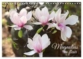 Gisela Kruse - CALVENDO Nature  : Magnolias en fleur (Calendrier mural 2024 DIN A4 vertical), CALVENDO calendrier mensuel - Magnifiques portraits de fleurs lumineuses.