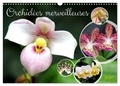 Gisela Kruse - CALVENDO Nature  : Orchidées merveilleuses (Calendrier mural 2024 DIN A3 vertical), CALVENDO calendrier mensuel - Des fleurs fascinantes d'une grande diversité.