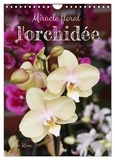 Gisela Kruse - CALVENDO Nature  : Miracle floral l'orchidée (Calendrier mural 2024 DIN A4 horizontal), CALVENDO calendrier mensuel - Les reines exotiques des plantes d'intérieur.