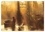 Gac herve Le - CALVENDO Places  : Picardie émotion (Calendrier mural 2024 DIN A4 vertical), CALVENDO calendrier mensuel - Les couleurs de la Picardie, de la mer à la champagne..