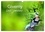 Patrice Thébault - CALVENDO Nature  : Giverny Les jardins (Calendrier mural 2024 DIN A3 vertical), CALVENDO calendrier mensuel - Palette de plantes qui composent les jardins de Giverny.