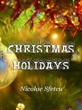  Nicolae Sfetcu - Christmas Holidays.