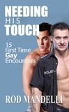  Rod Mandelli - Needing His Touch: 15 First Time Gay Encounters.
