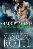  Mandy M. Roth - Healing the Wolf - Shadow Agents / PSI-Ops, #3.