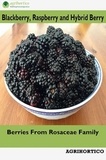 Agrihortico CPL - Blackberry, Raspberry and Hybrid Berry: Berries From Rosaceae Family.