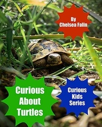  Chelsea Falin - Curious About Turtles - Curious Kids Series, #3.