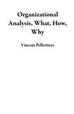  Vincent Pellettiere - Organizational Analysis, What, How, Why.