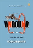  Rosalie Banks - Unbound #29 - Dangerous Tryst - Unbound, #29.