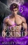  Ashley Sweet - Blood Bound: A Paranormal Vampire Romance Collection.