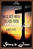  Sidney St. James - Hallelujah - He is not Here; He Has Risen (Luke 24: 6) - The Faith Chronicles, #5.