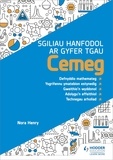 Nora Henry - Sgiliau Hanfodol ar gyfer TGAU Cemeg (Essential Skills for GCSE Chemistry: Welsh-language edition).