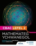 Andrew Ginty - CBAC Lefel 2 Mathamateg Ychwanegol(Welsh edition).
