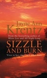 Jayne Ann Krentz - Sizzle And Burn - Number 3 in series.